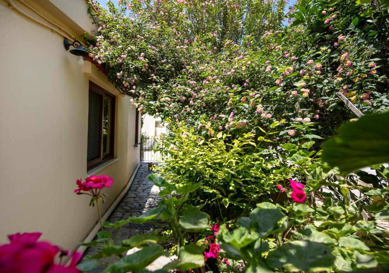 Elisavet'S House Villa Platanias  Exterior photo